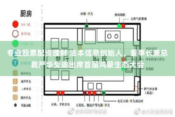 专业股票配资理财 法本信息创始人、董事长兼总裁严华受邀出席首届鸿蒙生态大会