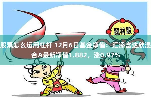 股票怎么运用杠杆 12月6日基金净值：汇添富达欣混合A最新净值1.882，涨0.97%