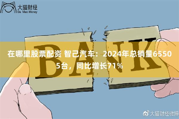 在哪里股票配资 智己汽车：2024年总销量65505台，同比增长71%